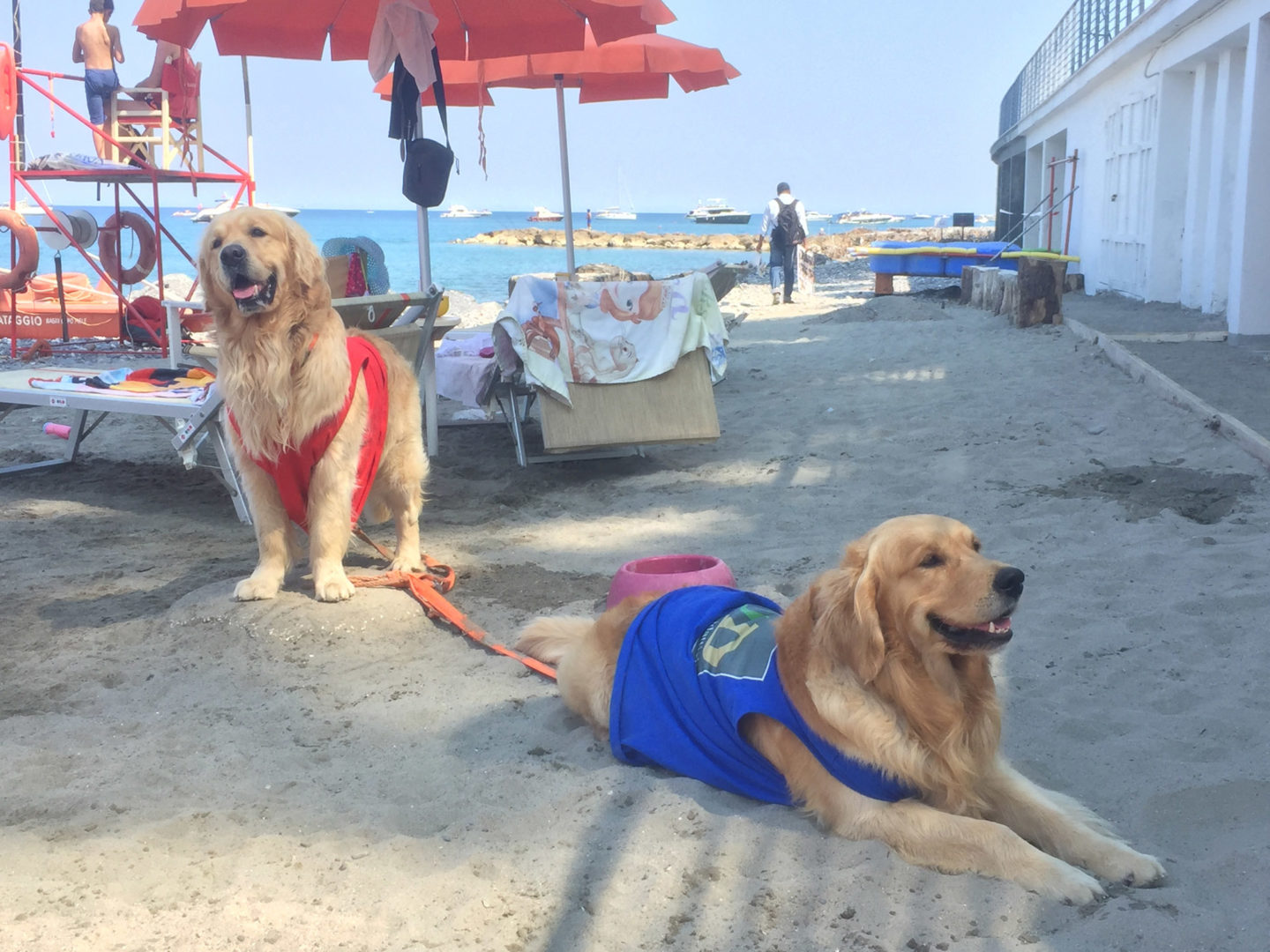 Spiaggia Di Alassio Aggiornato 2019 Tutto Quello Che Cè